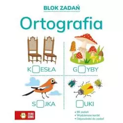 ORTOGRAFIA. BLOK ZADAŃ - Zielona Sowa