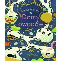 DOMY OWADÓW ZAJRZYJ DO ŚRODKA Anna Milbourne - Olesiejuk
