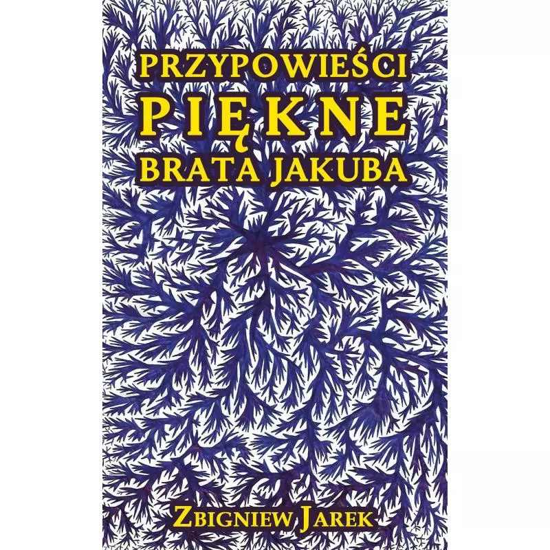 PRZYPOWIEŚCI PIĘKNE BRATA JAKUBA Zbigniew Jarek - Nowoczesne