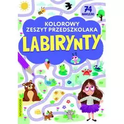 LABIRYNTY KOLOROWY ZESZYT PRZEDSZKOLAKA - Books & Fun