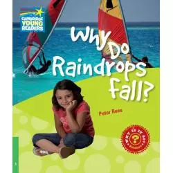 WHY DO RAINDROPS FALL? 3 FACTBOOK Peter Rees - Cambridge University Press