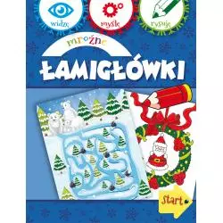 MROŹNE ŁAMIGŁÓWKI WIDZĘ, MYŚLĘ, RYSUJĘ Anna Wiśniewska - Olesiejuk