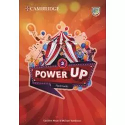 POWER UP 3 FLASHCARDS Caroline Nixon, Michael Tomlinson - Cambridge University Press
