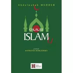 CHOROBA ISLAMU Abdelwahab Meddeb - Sedno