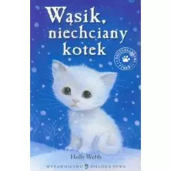 WĄSIK NIECHCIANY KOTEK Holly Webb - Zielona Sowa