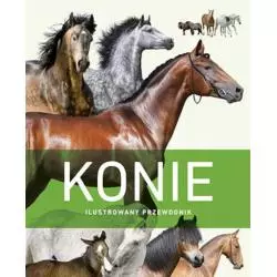 KONIE. ILUSTROWANY PRZEWODNIK - Olesiejuk