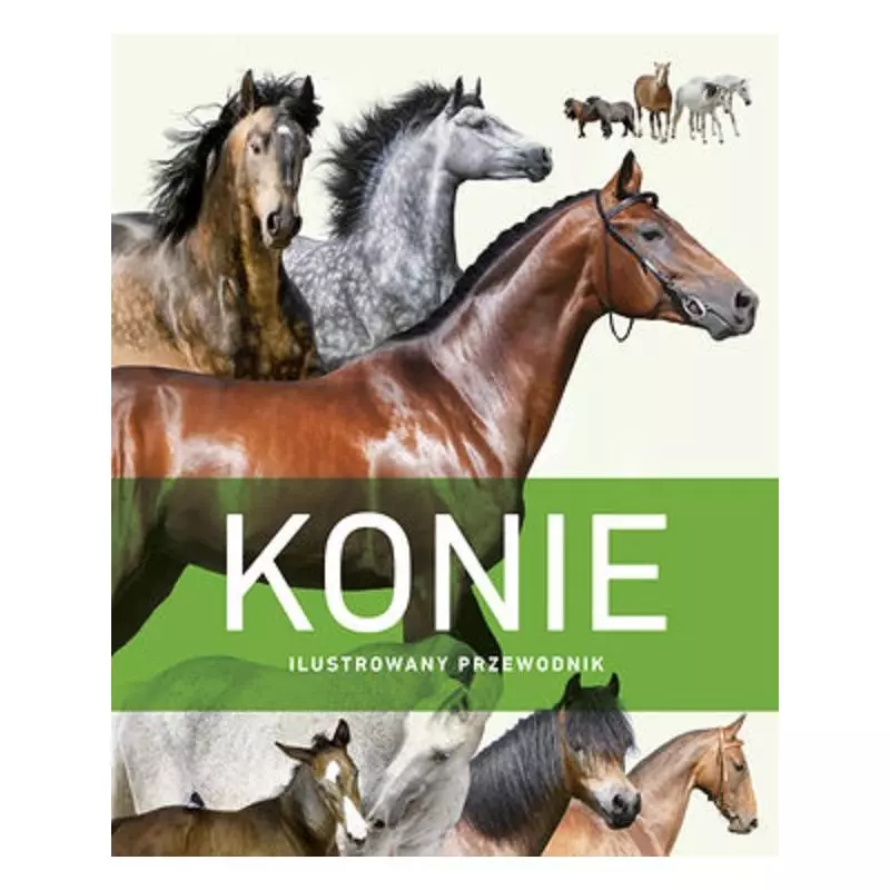 KONIE. ILUSTROWANY PRZEWODNIK - Olesiejuk KONIE. ILUSTROWANY PRZEWODNIK - Olesiejuk