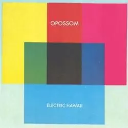 OPOSSOM ELECTRIC HAWAII WINYL - Fire Records