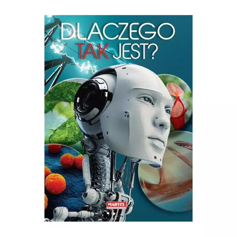 DLACZEGO TAK JEST? - Martel