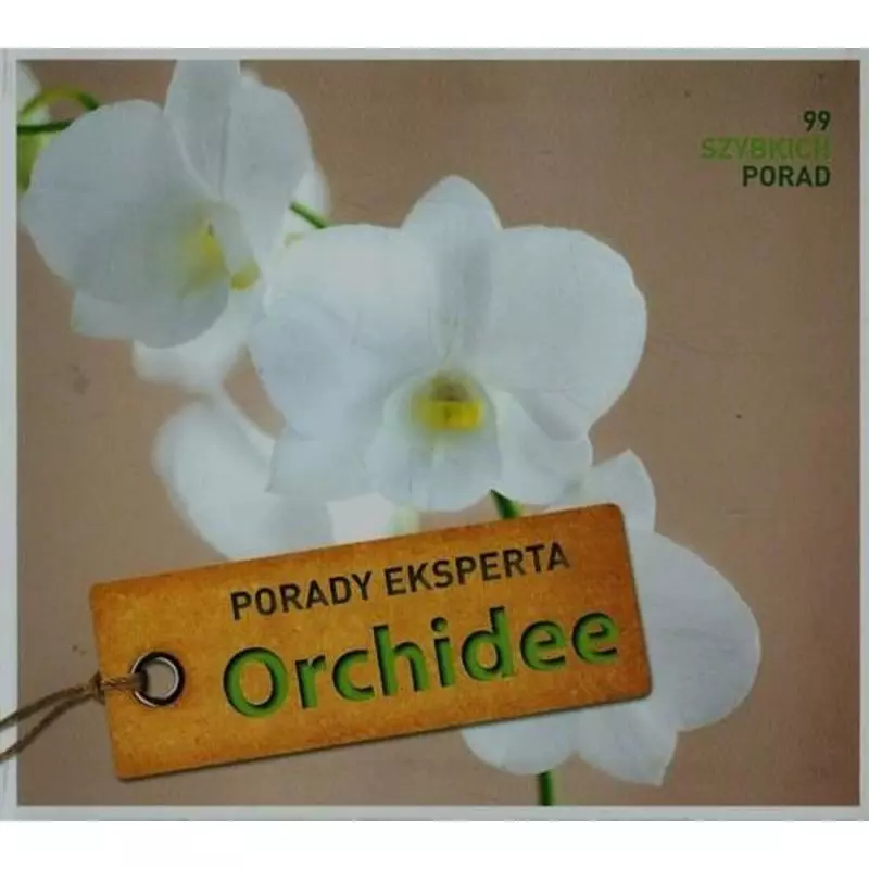 ORCHIDEE PORADY EKSPERTA Folko Kullmann - Foksal