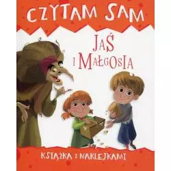 CZYTAM SAM. JAŚ I MAŁGOSIA KSIĄŻKA Z NAKLEJKAMI Roberta Zilio - Olesiejuk