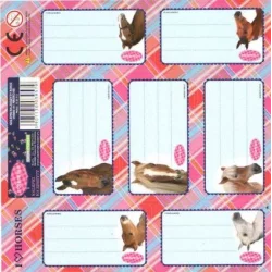 NAKLEJKI NA ZESZYTY KONIE 7SZT. - Derform