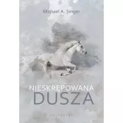 NIESKRĘPOWANA DUSZA Michael A. Singer - Galaktyka