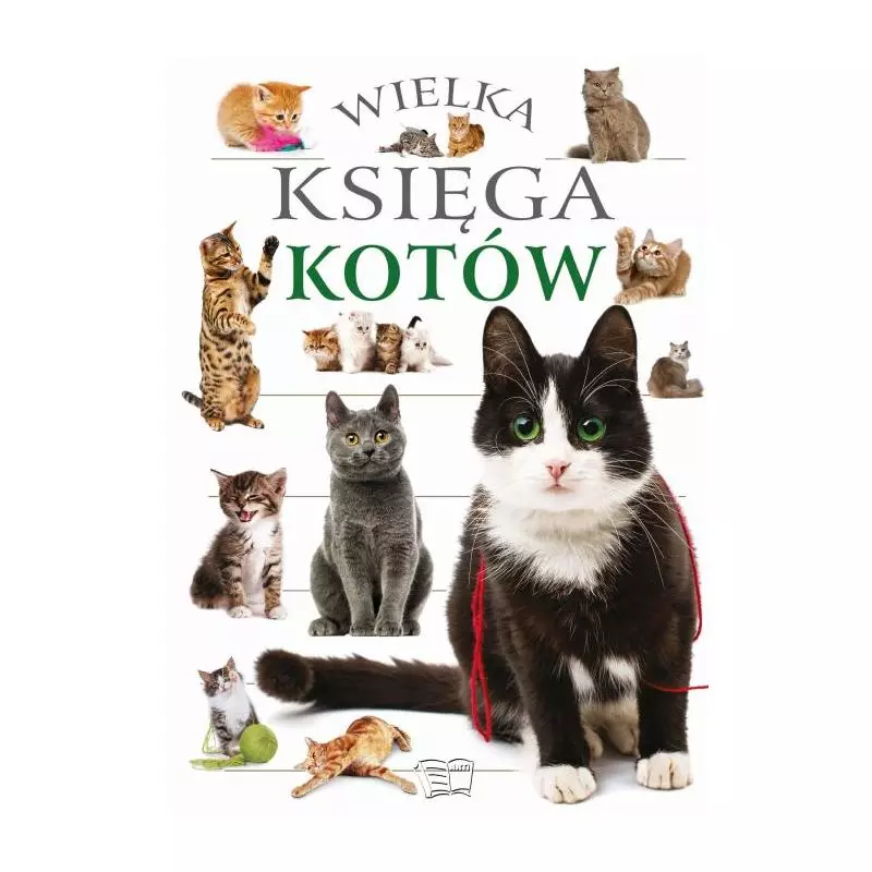 WIELKA KSIĘGA KOTÓW - Arti