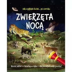 ZWIERZĘTA NOCĄ. NOCNE SAFARI Z LATARKĄ W RĘKU Lisa Regan - Jedność