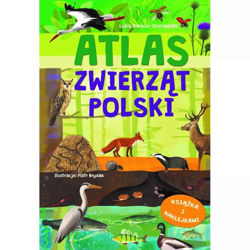 ATLAS ZWIERZĄT POLSKI KSIĄŻKA Z NAKLEJKAMI Lidia Rekosz-Domagała - Olesiejuk ATLAS ZWIERZĄT POLSKI KSIĄŻKA Z NAKLEJKAMI Lidia Rekosz-Domagała - Olesiejuk