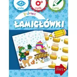 LODOWE ŁAMIGŁÓWKI. WIDZĘ, MYŚLĘ, RYSUJĘ - Olesiejuk