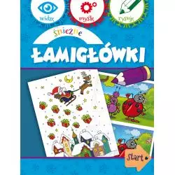 ŚNIEŻNE ŁAMIGŁÓWKI. WIDZĘ, MYŚLĘ, RYSUJĘ - Olesiejuk