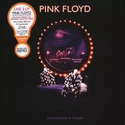 PINK FLOYD DELICATE SOUND OF THUNDER 3XWINYL - Warner Music