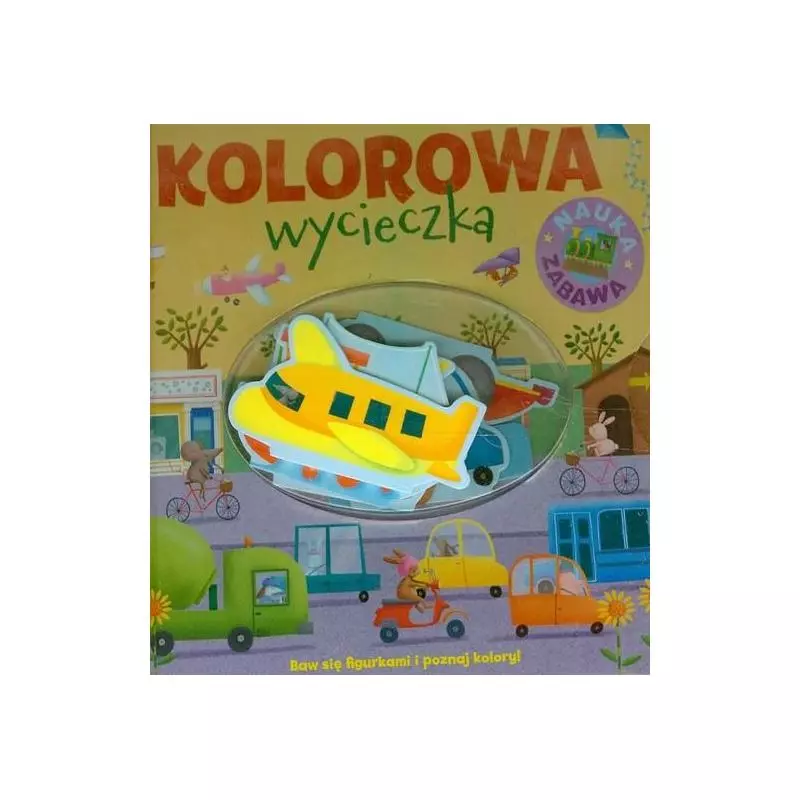 KOLOROWA WYCIECZKA Brenda Apsley - Olesiejuk