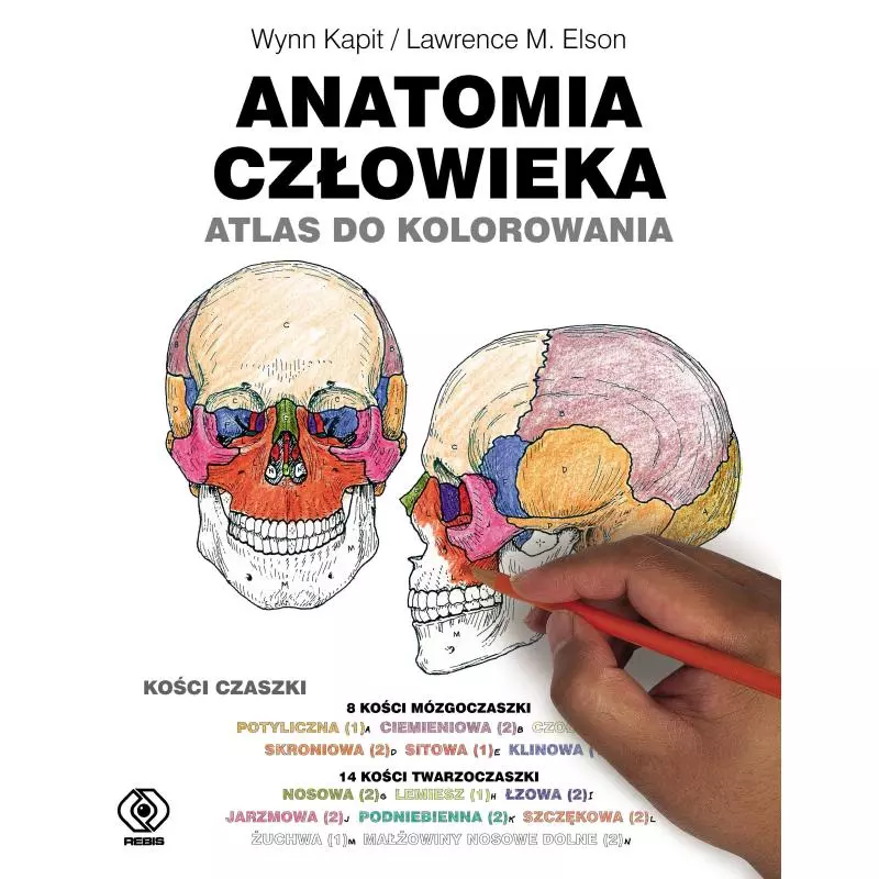 ANATOMIA CZŁOWIEKA. ATLAS DO KOLOROWANIA Wynn Kapit - Rebis