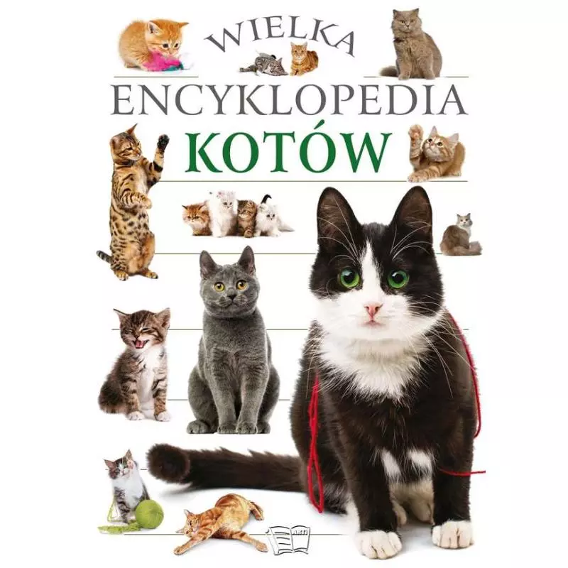 WIELKA ENCYKLOPEDIA KOTÓW - Arti