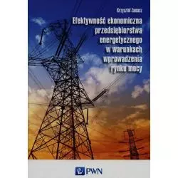 EFEKTYWNOŚĆ EKONOMICZNA PRZEDSIĘBIORSTWA ENERGETYCZNEGO W WARUNKACH WPROWADZENIA RYNKU MOCY Krzysztof Zamasz - PWN