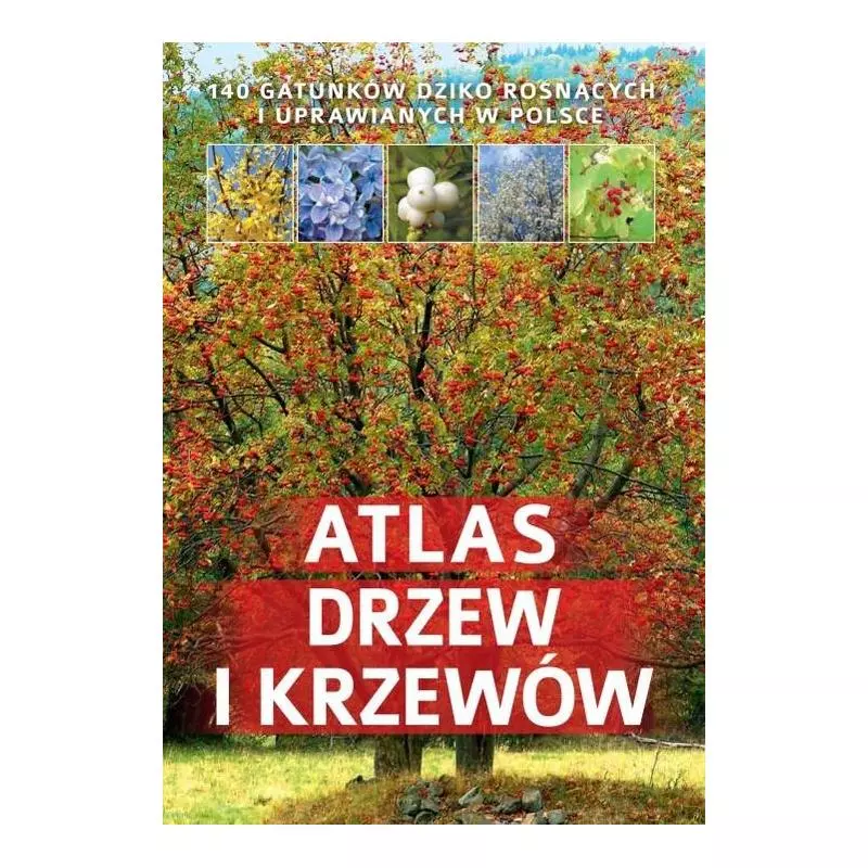 ATLAS DRZEW I KRZEWÓW Aleksandra Halarewicz - SBM