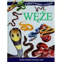 WĘŻE. ODKRYWANIE ŚWIATA - Olesiejuk