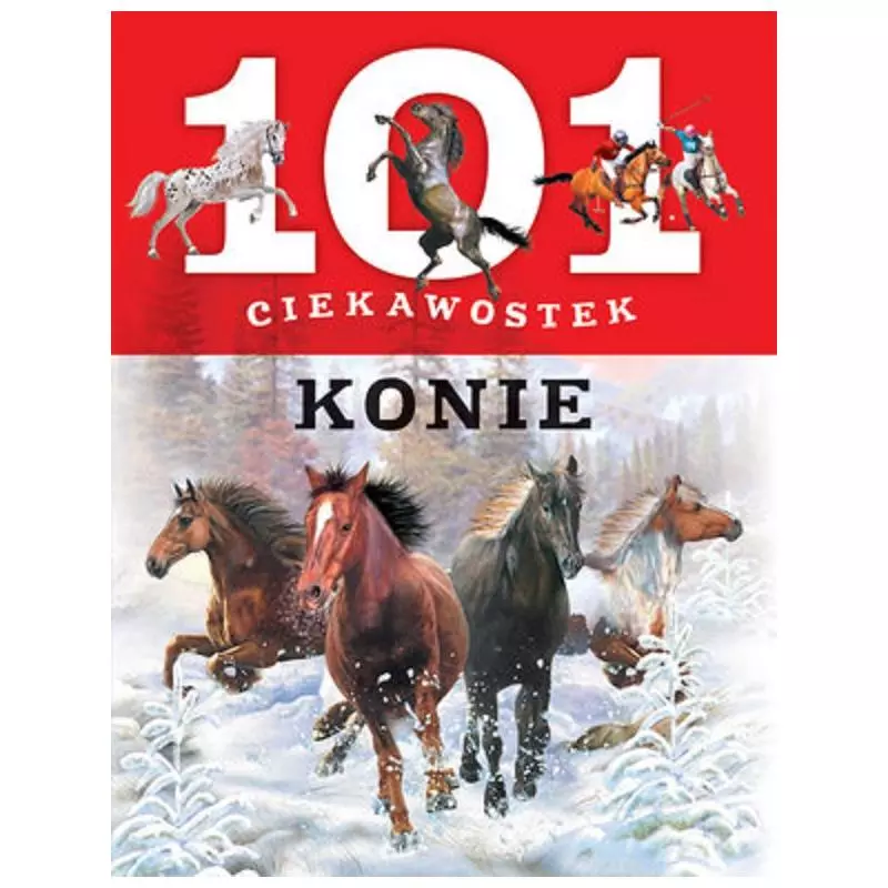 KONIE. 101 CIEKAWOSTEK - Olesiejuk