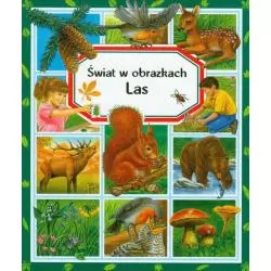 LAS. ŚWIAT W OBRAZKACH - Olesiejuk