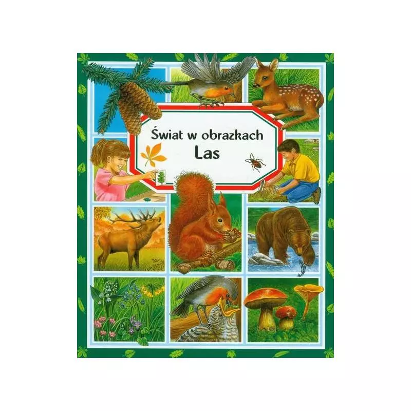 LAS. ŚWIAT W OBRAZKACH - Olesiejuk