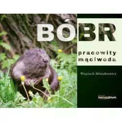 BÓBR PRACOWITY MĄCIWODA - Bernardinum