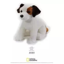 JACK RUSSELL MASKOTKA 3+ - National Geographic