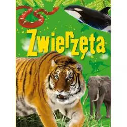 ZWIERZĘTA - Olesiejuk