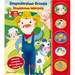 GOSPODARSTWO GRZESIA. DŹWIĘKOWE LABIRYNTY - Olesiejuk