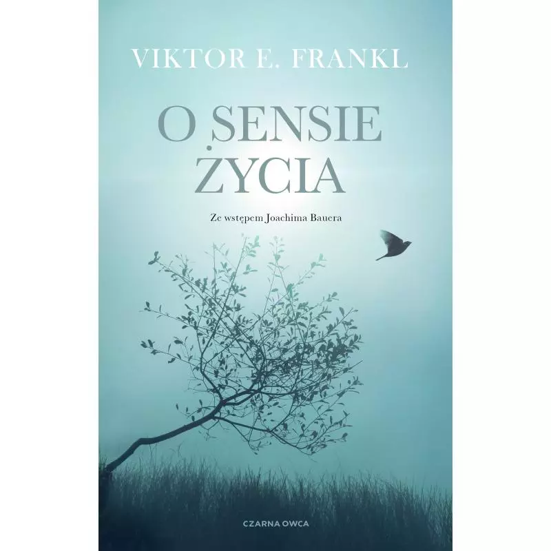 O SENSIE ŻYCIA - Czarna Owca