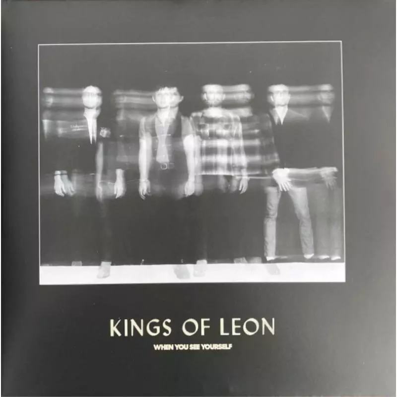 KINGS OF LEON WHEN YOU SEE TOURSELF WINYL - Sony Music Entertainment