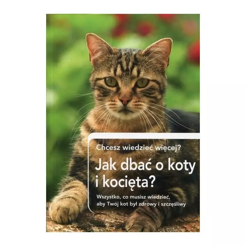 JAK DBAĆ O KOTY I KOCIĘTA - 