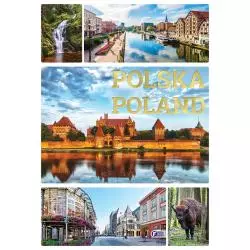 POLSKA POLAND - Fenix