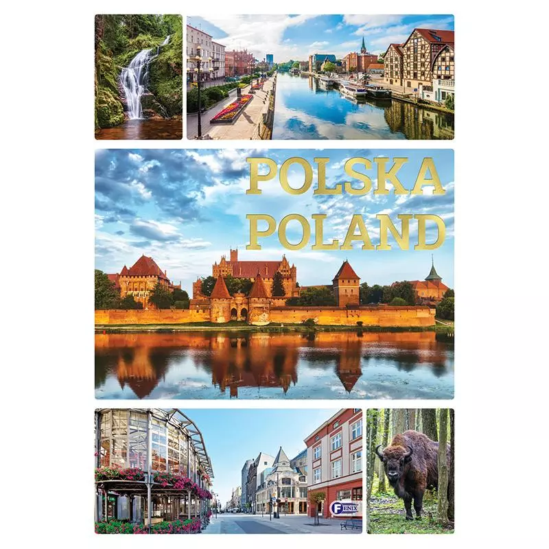 POLSKA POLAND - Fenix