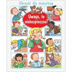 UWAGA, TO NIEBEZPIECZNE! OBRAZKI DLA MALUCHÓW - Olesiejuk