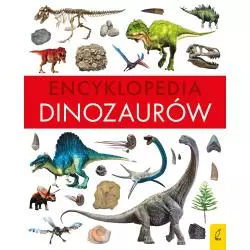 ENCYKLOPEDIA DINOZAURÓW - Wilga