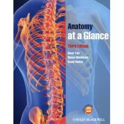 ANATOMY AT A GLANCE - Wiley