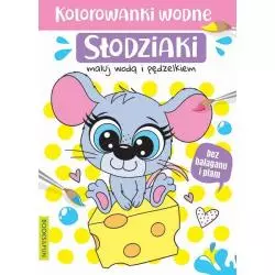 SŁODZIAKI. KOLOROWANKI WODNE - Books and Fun