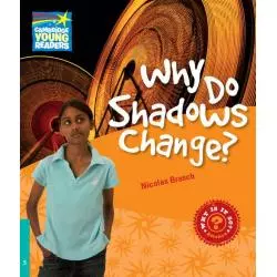 WHY DO SHADOWS CHANGE? - Cambridge University Press