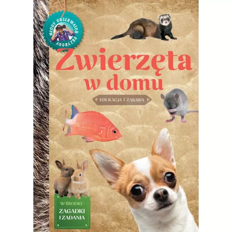 ZWIERZĘTA W DOMU. MŁODY OBSERWATOR PRZYRODY - Multico