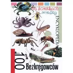 100 BEZKRĘGOWCÓW. NA ŚCIEŻKACH WIEDZY. ENCYKLOPEDIA - Bellona