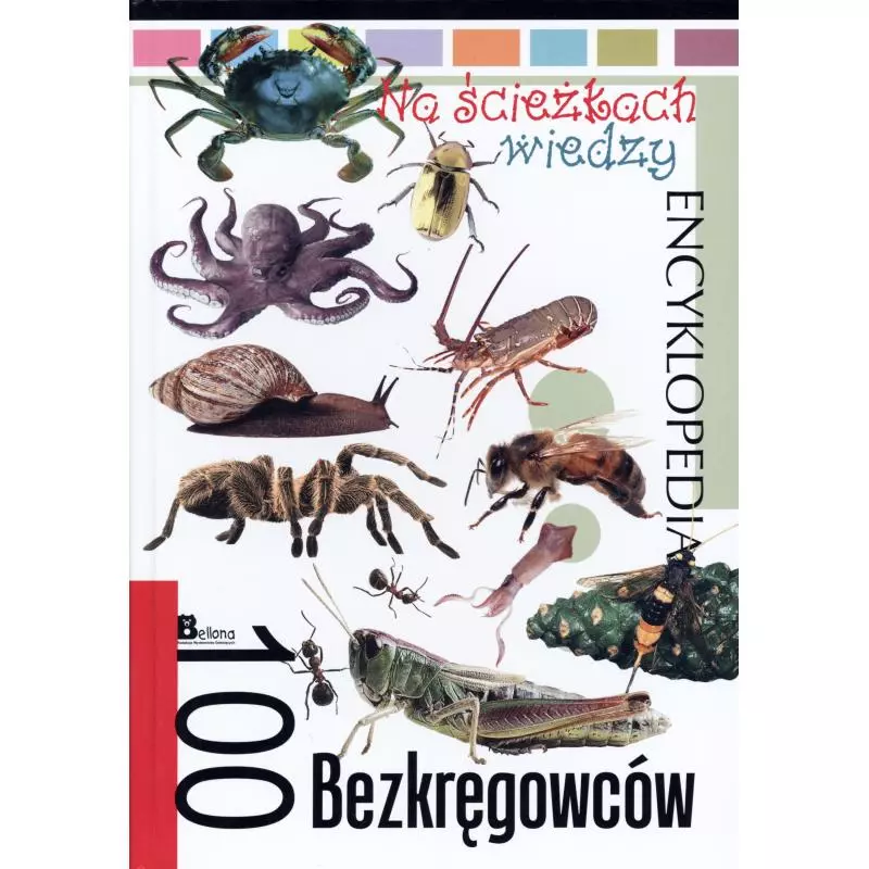 100 BEZKRĘGOWCÓW. NA ŚCIEŻKACH WIEDZY. ENCYKLOPEDIA - Bellona