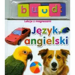 JĘZYK ANGIELSKI. LEKCJE Z MAGNESAMI - Olesiejuk